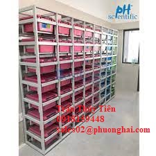 Kệ lưu mẫu dạng hộp